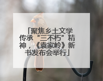 聚焦乡土文学 传承“三不朽”精神，《袁家岭》新书发布会举行