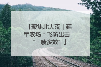 聚焦北大荒｜延军农场：飞防出击 “一喷多效”