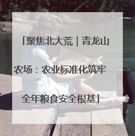 聚焦北大荒｜青龙山农场：农业标准化筑牢全年粮食安全根基