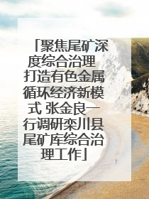 聚焦尾矿深度综合治理 打造有色金属循环经济新模式 张金良一行调研栾川县尾矿库综合治理工作