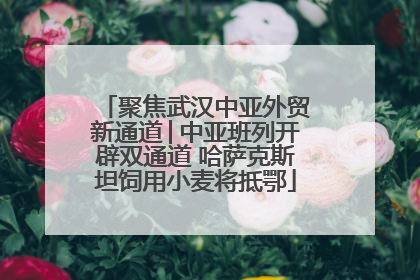 聚焦武汉中亚外贸新通道│中亚班列开辟双通道 哈萨克斯坦饲用小麦将抵鄂