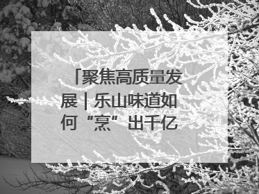 聚焦高质量发展｜乐山味道如何“烹”出千亿文旅产业