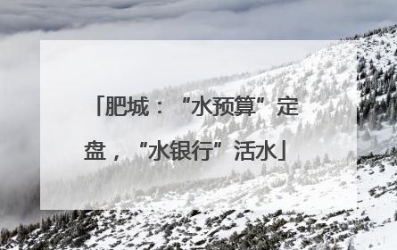 肥城：“水预算”定盘，“水银行”活水