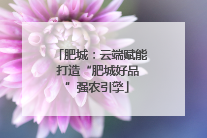 肥城：云端赋能 打造“肥城好品”强农引擎