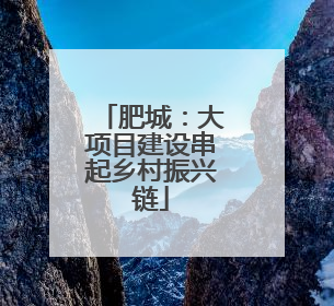 肥城：大项目建设串起乡村振兴链