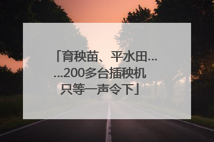 育秧苗、平水田……200多台插秧机只等一声令下