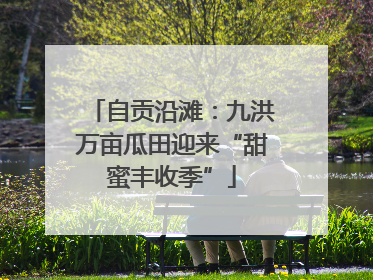 自贡沿滩：九洪万亩瓜田迎来“甜蜜丰收季”