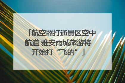 航空器打通景区空中航道 雅安雨城旅游将开始打“飞的”