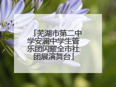 芜湖市第二中学安澜中学生管乐团闪耀全市社团展演舞台