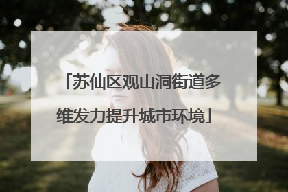 苏仙区观山洞街道多维发力提升城市环境