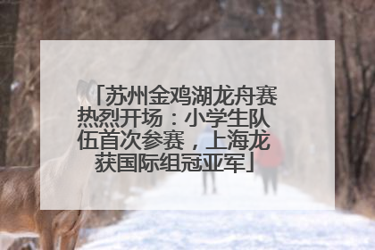 苏州金鸡湖龙舟赛热烈开场：小学生队伍首次参赛，上海龙获国际组冠亚军