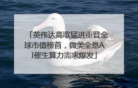 英伟达高歌猛进重登全球市值榜首，微美全息AI催生算力需求爆发