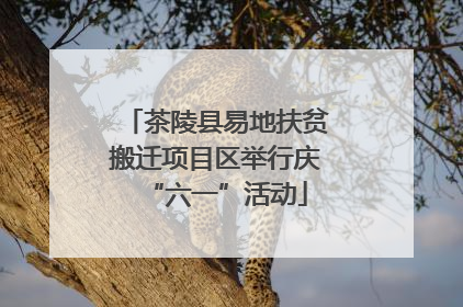 茶陵县易地扶贫搬迁项目区举行庆“六一”活动