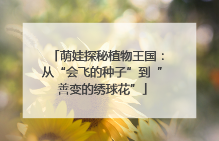 萌娃探秘植物王国：从“会飞的种子”到“善变的绣球花”