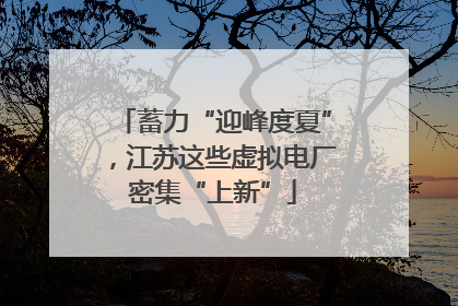 蓄力“迎峰度夏”，江苏这些虚拟电厂密集“上新”