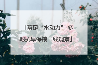 蓄足“水动力” 多地抗旱保粮一线观察