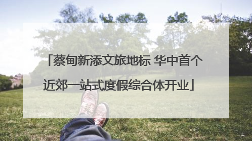 蔡甸新添文旅地标 华中首个近郊一站式度假综合体开业