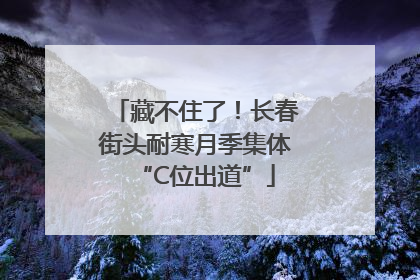 藏不住了！长春街头耐寒月季集体“C位出道”