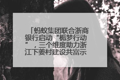 蚂蚁集团联合浙商银行启动“栀梦行动”，三个维度助力浙江下姜村建设共富示范区示范点