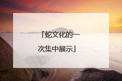 蛇文化的一次集中展示