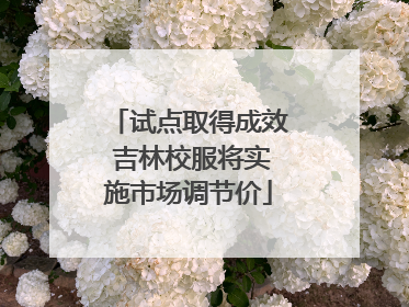试点取得成效 吉林校服将实施市场调节价