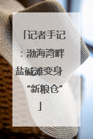 记者手记：渤海湾畔盐碱滩变身“新粮仓”