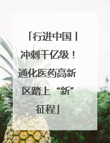 行进中国丨冲刺千亿级！通化医药高新区踏上“新”征程