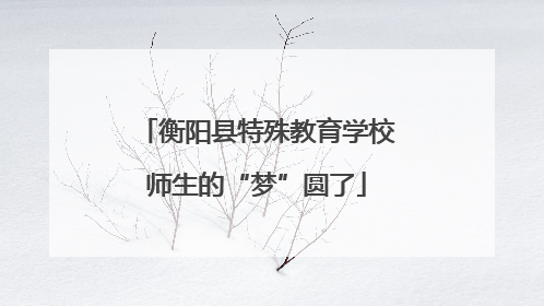 衡阳县特殊教育学校师生的“梦”圆了