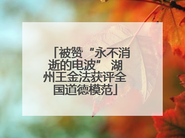 被赞“永不消逝的电波” 湖州王金法获评全国道德模范