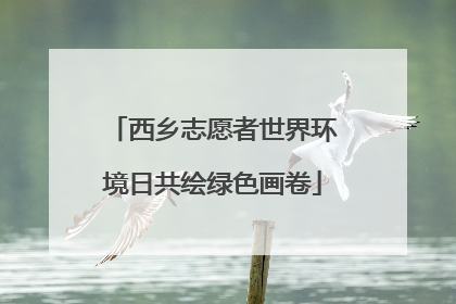 西乡志愿者世界环境日共绘绿色画卷