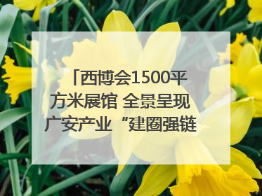 西博会1500平方米展馆 全景呈现广安产业“建圈强链”｜西博视界