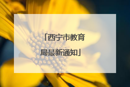 西宁市教育局最新通知