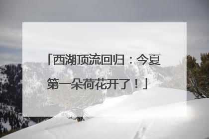 西湖顶流回归：今夏第一朵荷花开了！