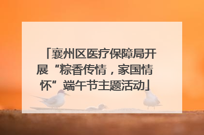 襄州区医疗保障局开展“粽香传情，家国情怀”端午节主题活动