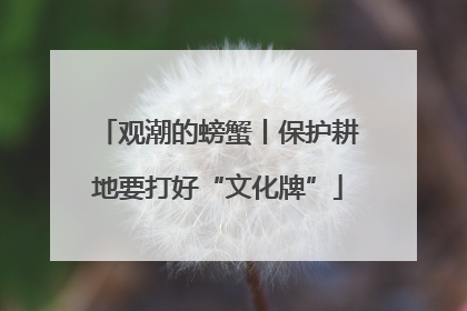 观潮的螃蟹丨保护耕地要打好“文化牌”