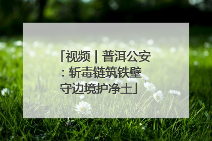 视频｜普洱公安：斩毒链筑铁壁 守边境护净土