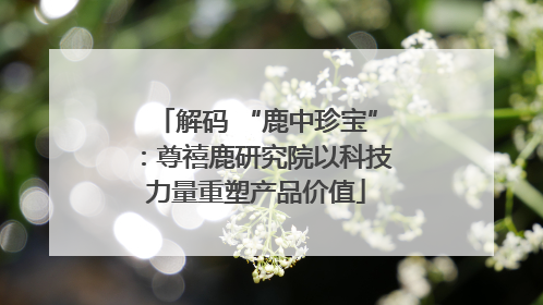 解码 “鹿中珍宝”：尊禧鹿研究院以科技力量重塑产品价值