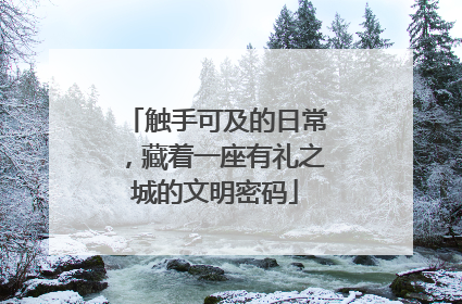 触手可及的日常，藏着一座有礼之城的文明密码