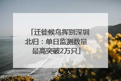 迁徙候鸟挥别深圳北归：单日监测数量最高突破2万只