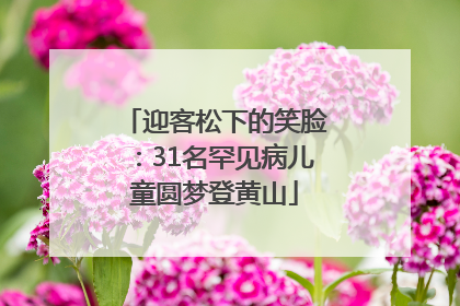迎客松下的笑脸：31名罕见病儿童圆梦登黄山
