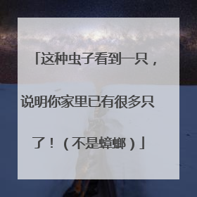 这种虫子看到一只，说明你家里已有很多只了！（不是蟑螂）