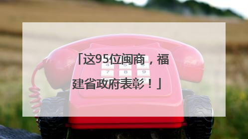 这95位闽商，福建省政府表彰！