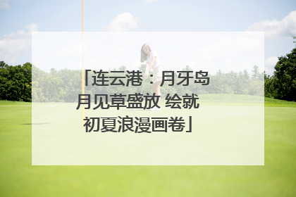 连云港：月牙岛月见草盛放 绘就初夏浪漫画卷