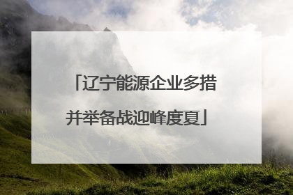 辽宁能源企业多措并举备战迎峰度夏
