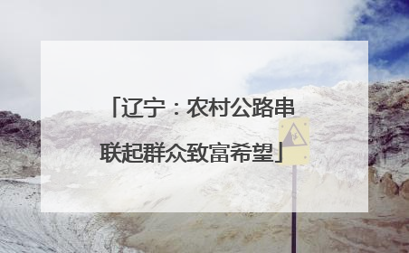 辽宁：农村公路串联起群众致富希望