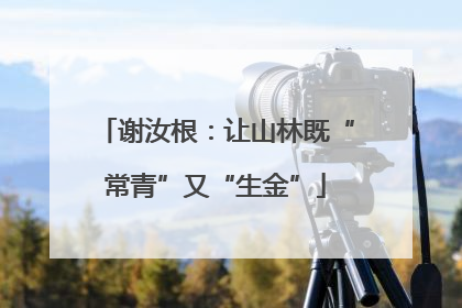 谢汝根：让山林既“常青”又“生金”