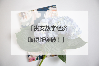 贵安数字经济取得新突破！