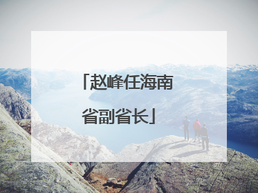 赵峰任海南省副省长