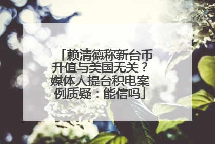 赖清德称新台币升值与美国无关？媒体人提台积电案例质疑：能信吗