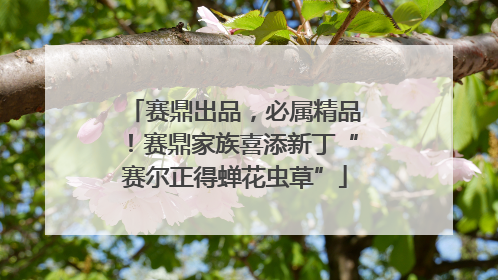 赛鼎出品，必属精品！赛鼎家族喜添新丁“赛尔正得蝉花虫草”